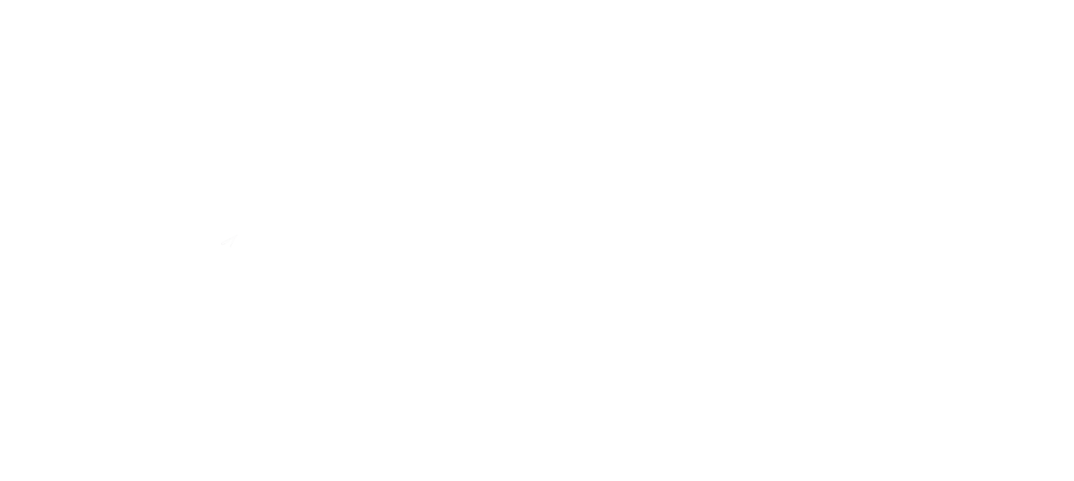 nima golzar logo white
